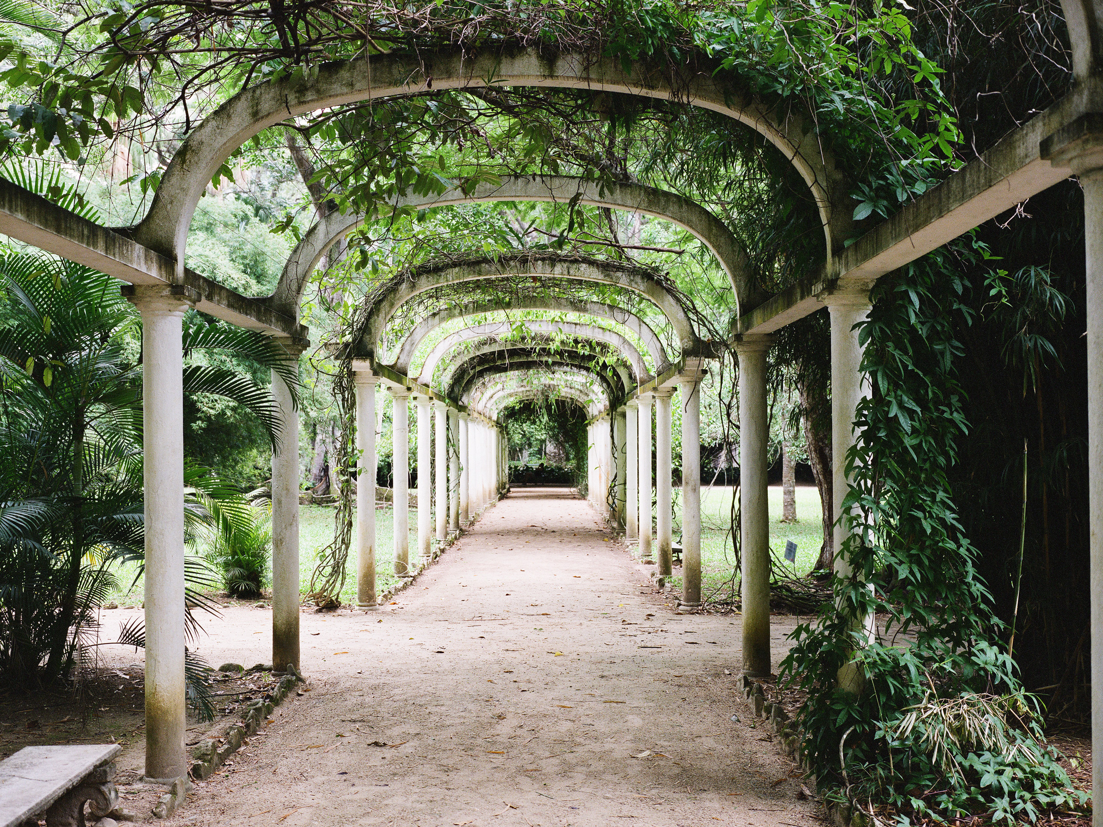 "Jardim Botanical Garden"