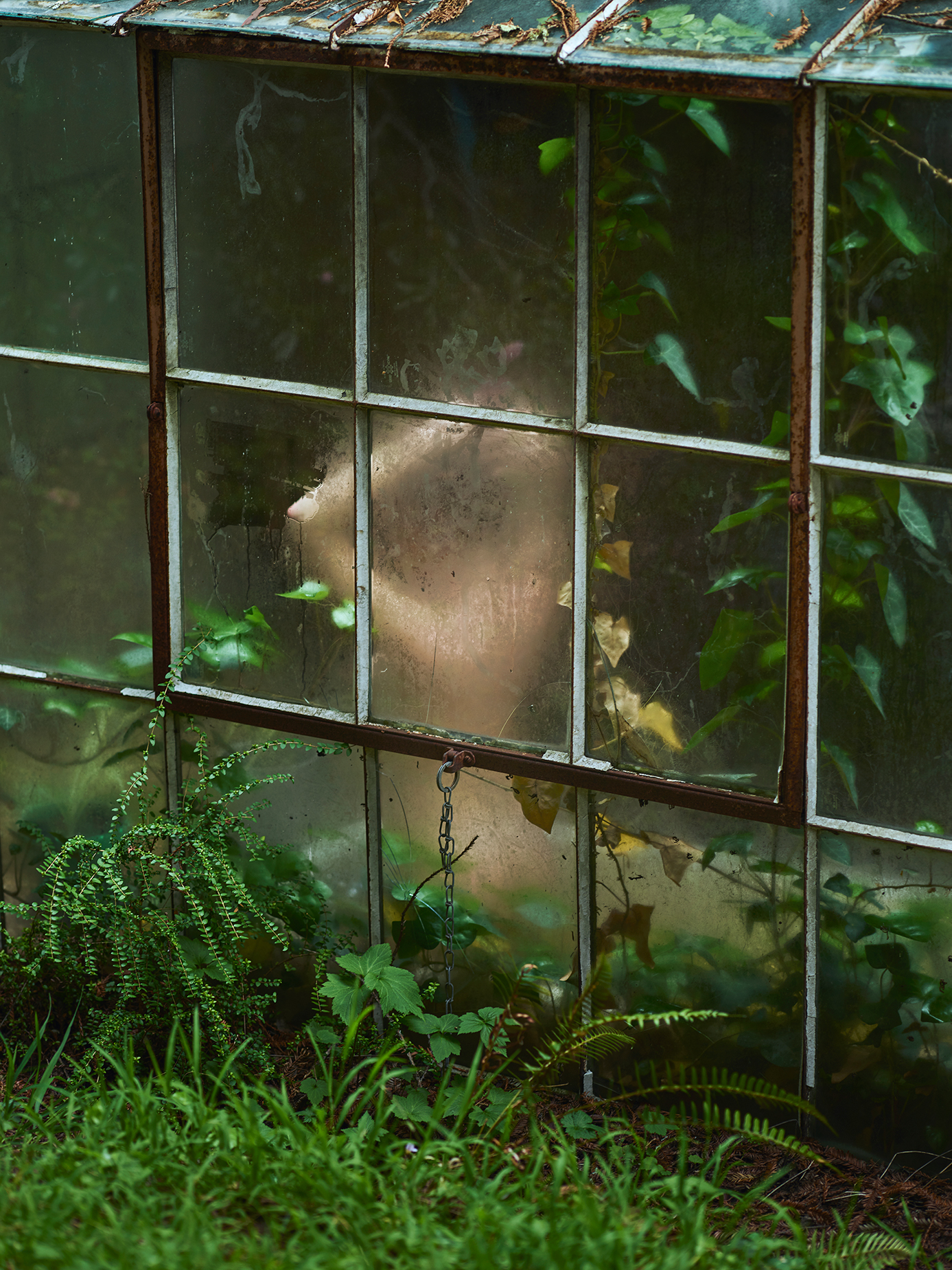 "The Greenhouse"